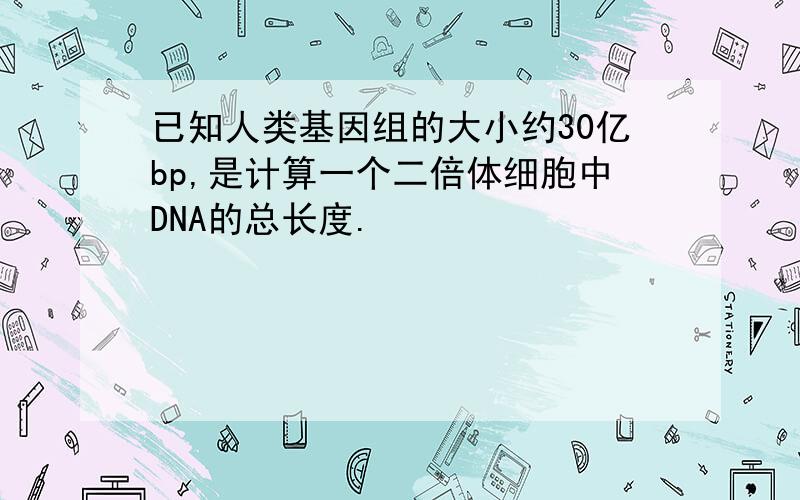 已知人类基因组的大小约30亿bp,是计算一个二倍体细胞中DNA的总长度.