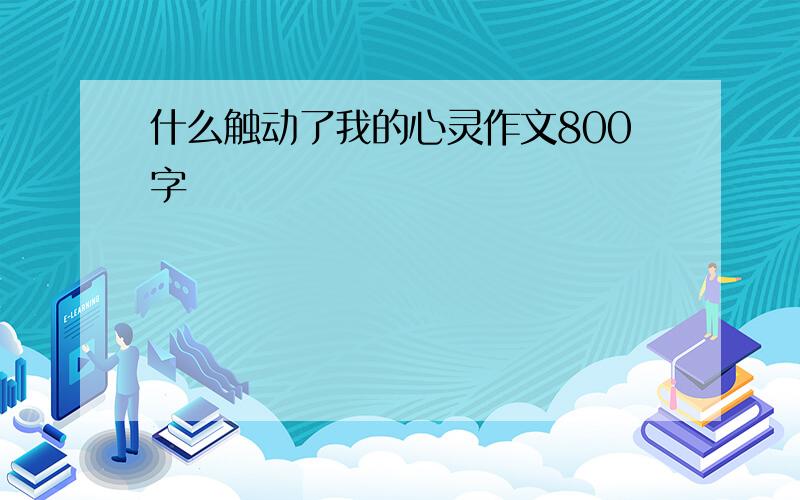 什么触动了我的心灵作文800字