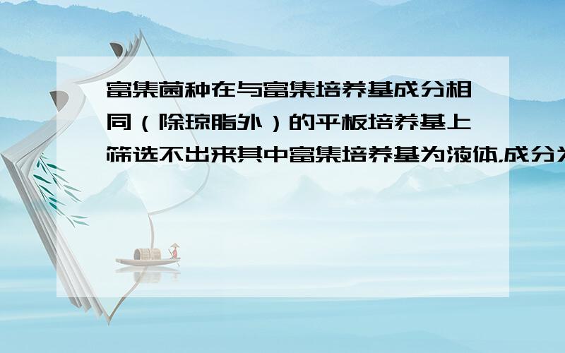 富集菌种在与富集培养基成分相同（除琼脂外）的平板培养基上筛选不出来其中富集培养基为液体，成分为废水，采用静态富集。固体培养基成分为废水加琼脂。为什么在固体培养基中不长