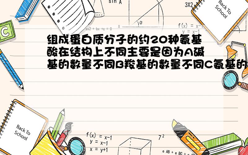 组成蛋白质分子的约20种氨基酸在结构上不同主要是因为A碱基的数量不同B羧基的数量不同C氨基的位置不同D.R基不同