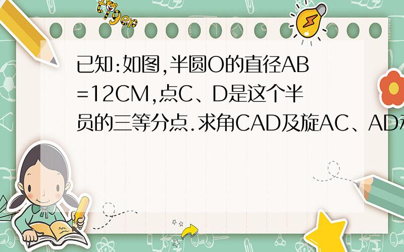 已知:如图,半圆O的直径AB=12CM,点C、D是这个半员的三等分点.求角CAD及旋AC、AD和弧CD围成的图形面积S?