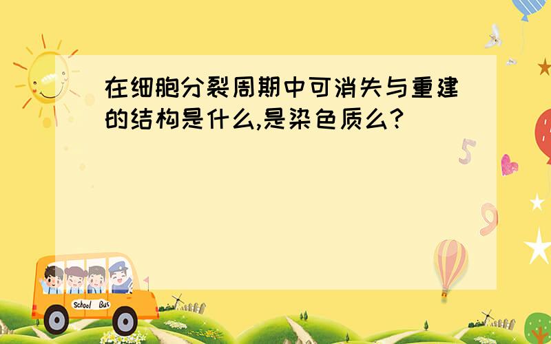 在细胞分裂周期中可消失与重建的结构是什么,是染色质么?