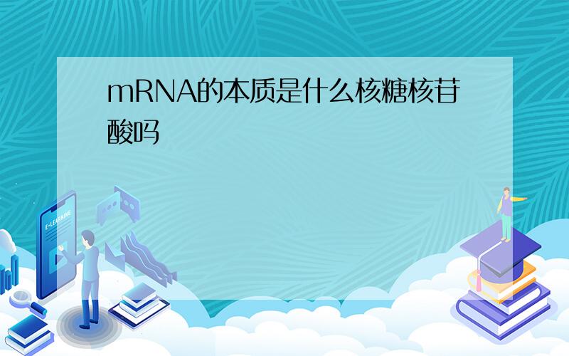 mRNA的本质是什么核糖核苷酸吗