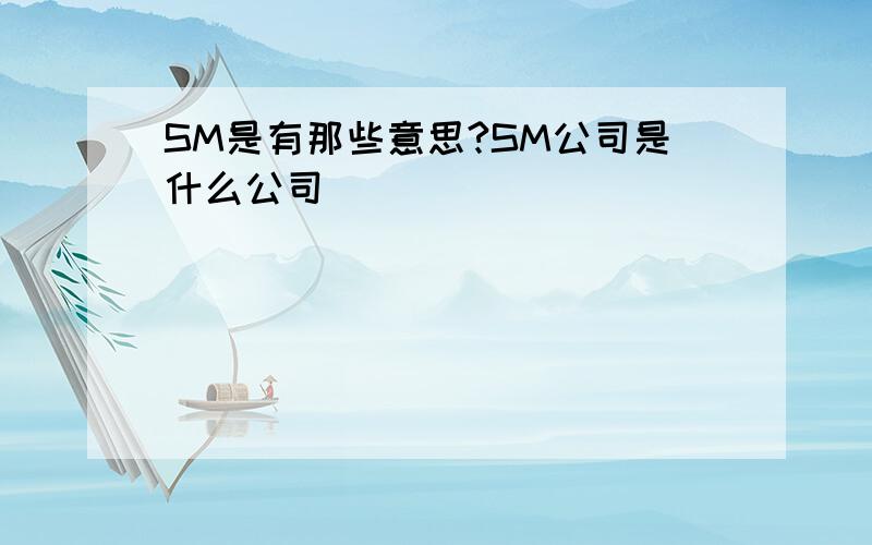 SM是有那些意思?SM公司是什么公司