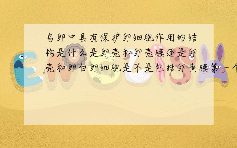 鸟卵中具有保护卵细胞作用的结构是什么是卵壳和卵壳膜还是卵壳和卵白卵细胞是不是包括卵黄膜第一个你确定吗？卵白不也可以缓冲吗 如果考试应该写什么呢？我明天就要考了