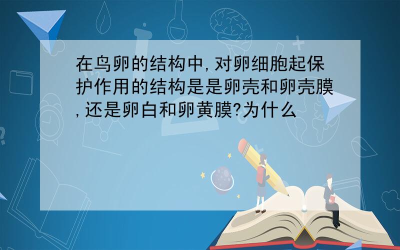 在鸟卵的结构中,对卵细胞起保护作用的结构是是卵壳和卵壳膜,还是卵白和卵黄膜?为什么