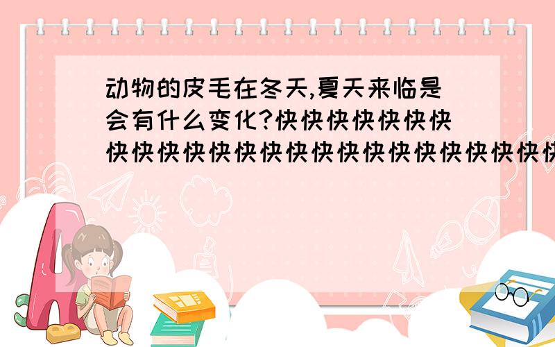 动物的皮毛在冬天,夏天来临是会有什么变化?快快快快快快快快快快快快快快快快快快快快快快快快快快快快快快快快快快快快快快快快快快快快快快快快快快快快快快快快快快快快快快快