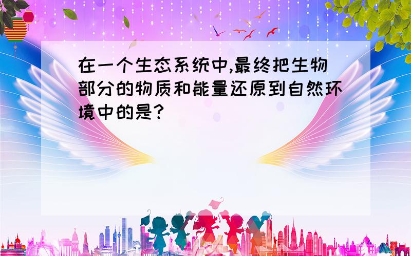 在一个生态系统中,最终把生物部分的物质和能量还原到自然环境中的是?