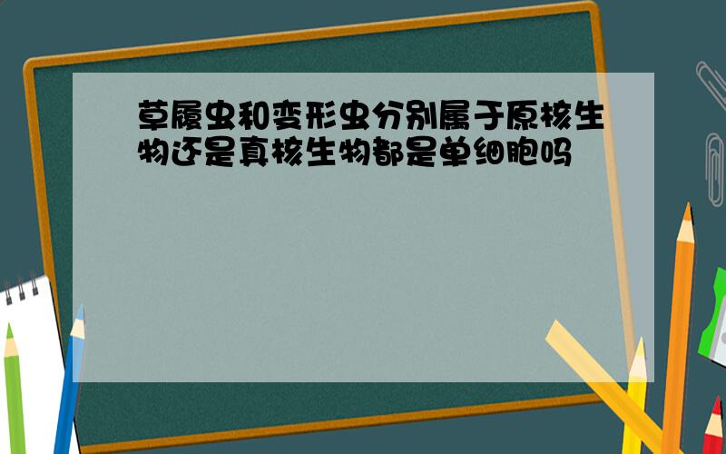 草履虫和变形虫分别属于原核生物还是真核生物都是单细胞吗