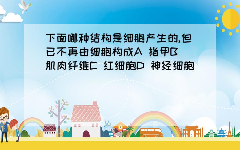 下面哪种结构是细胞产生的,但已不再由细胞构成A 指甲B 肌肉纤维C 红细胞D 神经细胞