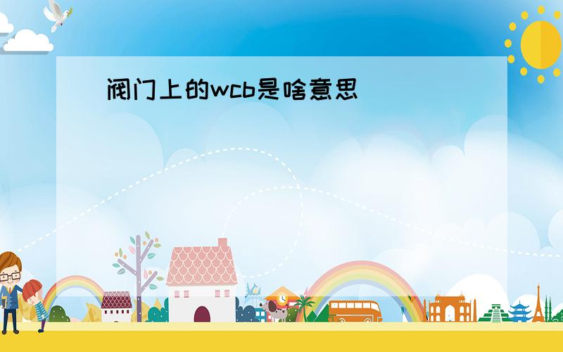 阀门上的wcb是啥意思