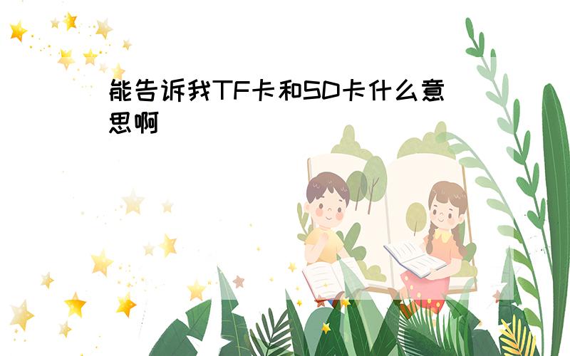 能告诉我TF卡和SD卡什么意思啊