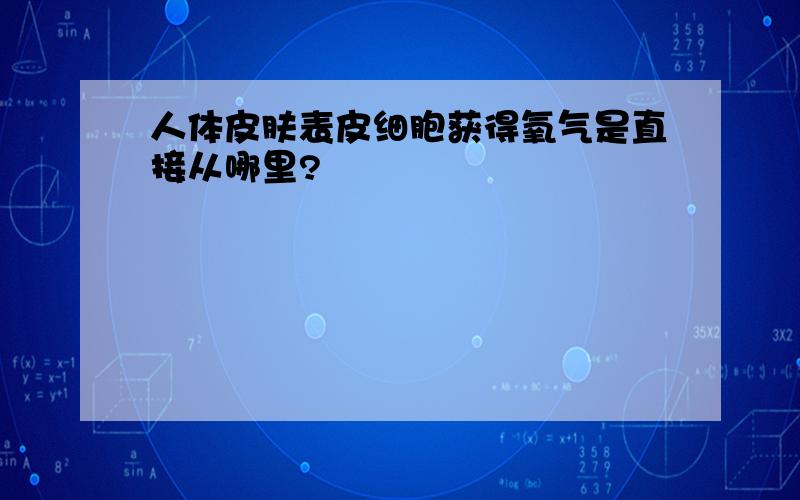 人体皮肤表皮细胞获得氧气是直接从哪里?