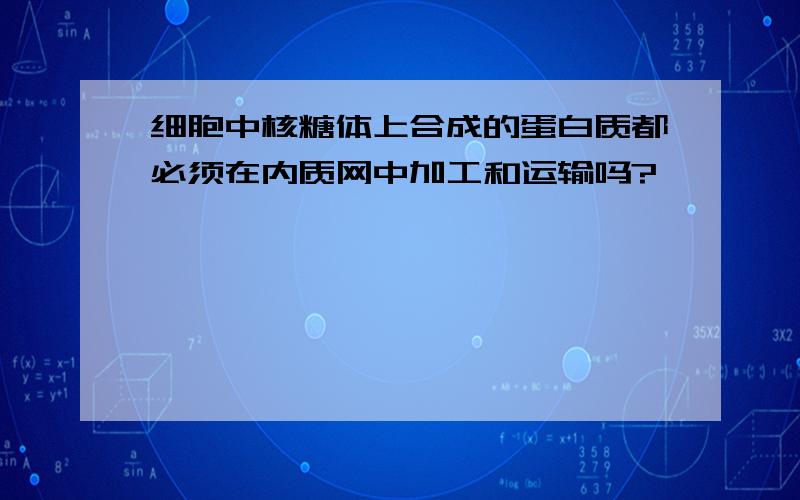 细胞中核糖体上合成的蛋白质都必须在内质网中加工和运输吗?