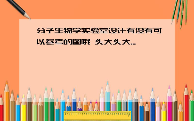 分子生物学实验室设计有没有可以参考的图哦 头大头大...