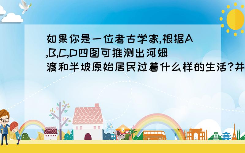 如果你是一位考古学家,根据A,B,C,D四图可推测出河姆渡和半坡原始居民过着什么样的生活?并谈谈理由.A、是半坡原始居民的房屋.B、是干烂式房屋.C、是骨耜.D、是半坡出土的防轮.