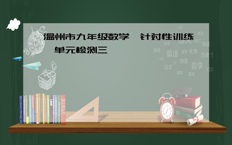 温州市九年级数学《针对性训练》单元检测三