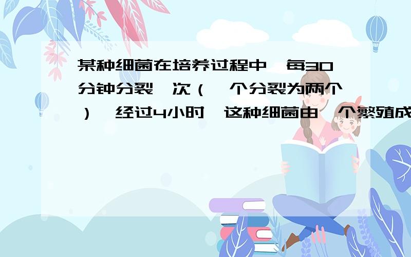 某种细菌在培养过程中,每30分钟分裂一次（一个分裂为两个）,经过4小时,这种细菌由一个繁殖成多少个?