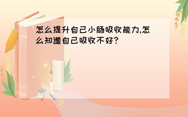 怎么提升自己小肠吸收能力,怎么知道自己吸收不好?