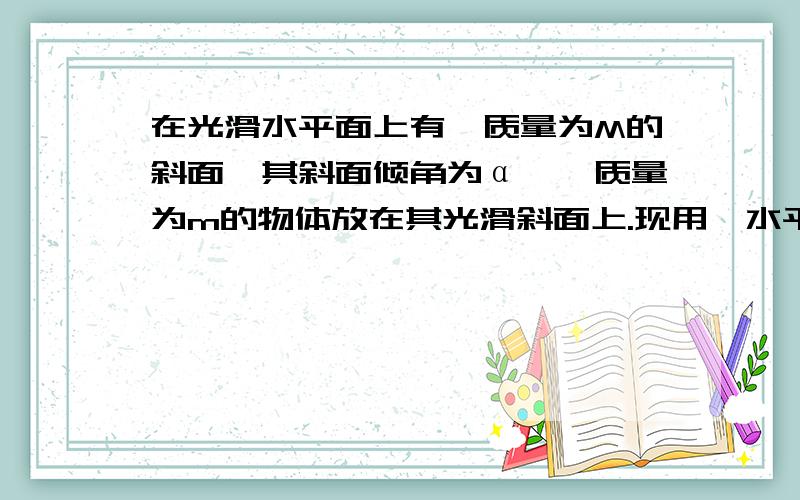 在光滑水平面上有一质量为M的斜面,其斜面倾角为α,一质量为m的物体放在其光滑斜面上.现用一水平力F推斜面,恰使物体m与斜面间无相对滑动而一起沿水平方向运动,求水平力F的大小和斜面对