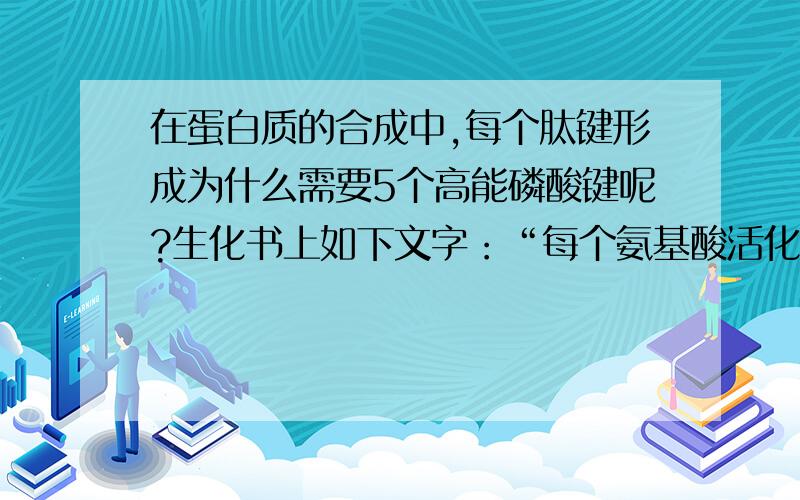 在蛋白质的合成中,每个肽键形成为什么需要5个高能磷酸键呢?生化书上如下文字：“每个氨基酸活化为氨基酰-tRNA消耗2个高能键,进位、转位各消耗1个高能键.为保持蛋白质生物合成的高度保