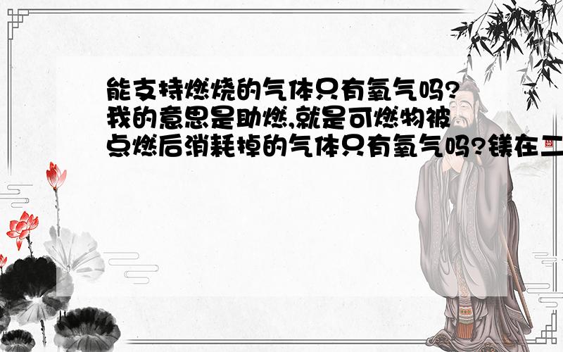 能支持燃烧的气体只有氧气吗?我的意思是助燃,就是可燃物被点燃后消耗掉的气体只有氧气吗?镁在二氧化碳中燃烧消耗了二氧化碳吗?