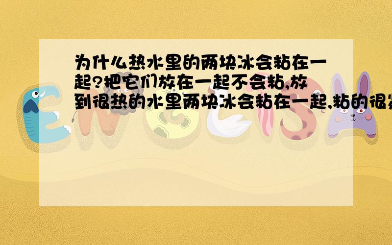 为什么热水里的两块冰会粘在一起?把它们放在一起不会粘,放到很热的水里两块冰会粘在一起,粘的很紧.没看懂，可是。