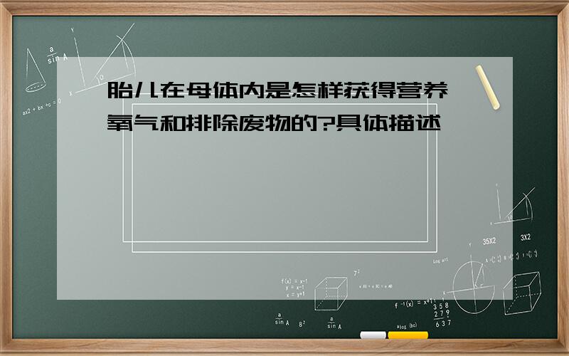 胎儿在母体内是怎样获得营养、氧气和排除废物的?具体描述