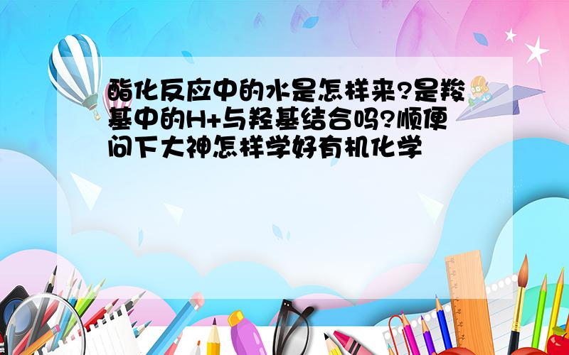 酯化反应中的水是怎样来?是羧基中的H+与羟基结合吗?顺便问下大神怎样学好有机化学