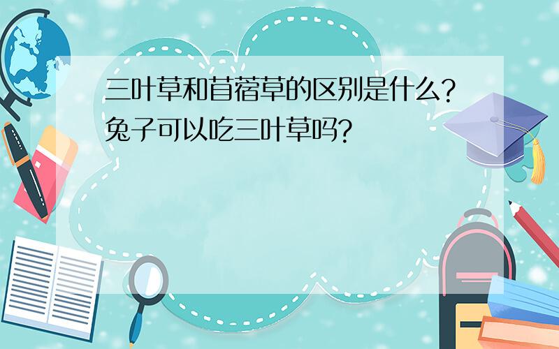 三叶草和苜蓿草的区别是什么?兔子可以吃三叶草吗?