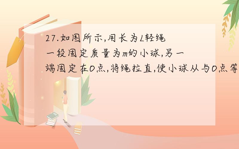 27.如图所示,用长为L轻绳一段固定质量为m的小球,另一端固定在O点,将绳拉直,使小球从与O点等高的位置释放,求小球摆到最低点时：（1）小球的速度（2）小球的向心加速度 （3）小球从什么位