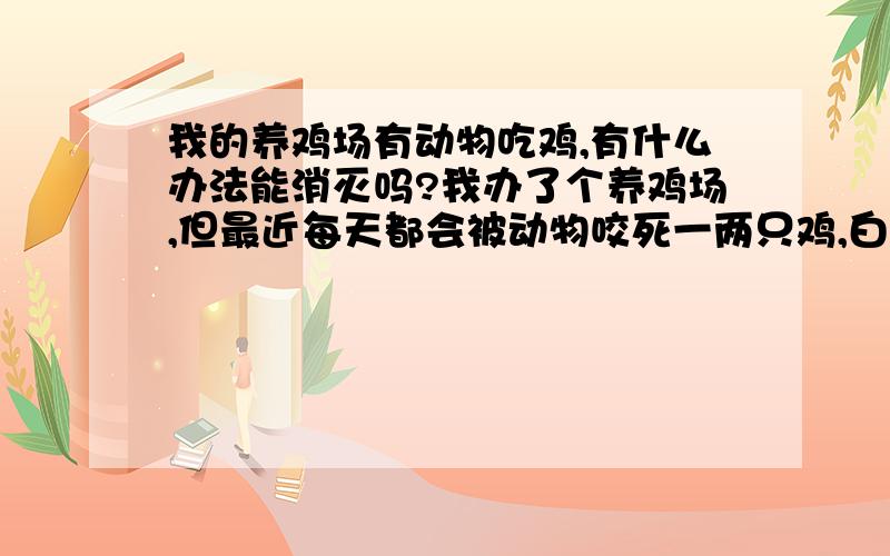 我的养鸡场有动物吃鸡,有什么办法能消灭吗?我办了个养鸡场,但最近每天都会被动物咬死一两只鸡,白天晚上都会有,一般都是鸡屁股后被咬一个洞,肠子会被吃掉.这种动物来无影去无踪,我一