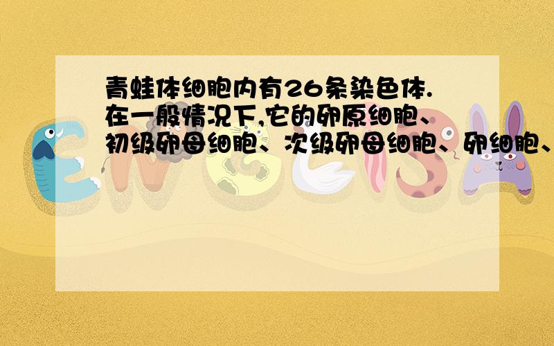 青蛙体细胞内有26条染色体.在一般情况下,它的卵原细胞、初级卵母细胞、次级卵母细胞、卵细胞、极体和受精卵中所含的染色体条数依次是( )A.26、26、13、13、13、26B.26、52、26、13、13、26C.13