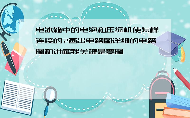 电冰箱中的电泡和压缩机使怎样连接的?画出电路图详细的电路图和讲解我关键是要图