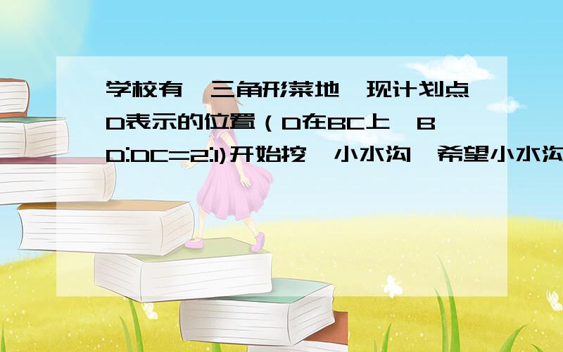 学校有一三角形菜地,现计划点D表示的位置（D在BC上,BD:DC=2:1)开始挖一小水沟,希望小水沟两边面积相等（且D不是BC的中点）,应怎么挖?