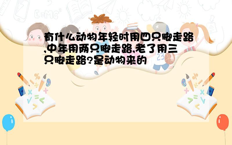 有什么动物年轻时用四只脚走路,中年用两只脚走路,老了用三只脚走路?是动物来的