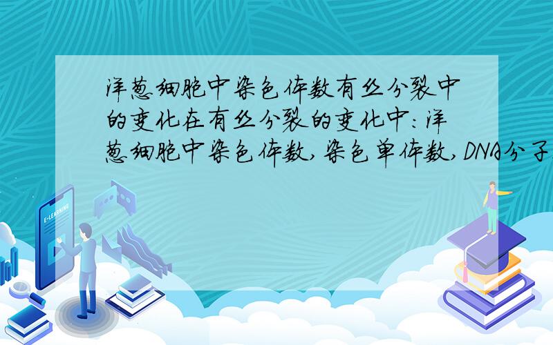 洋葱细胞中染色体数有丝分裂中的变化在有丝分裂的变化中：洋葱细胞中染色体数,染色单体数,DNA分子数和这三者的比例