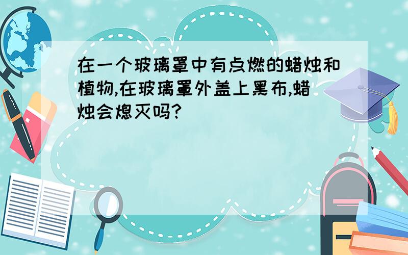 在一个玻璃罩中有点燃的蜡烛和植物,在玻璃罩外盖上黑布,蜡烛会熄灭吗?