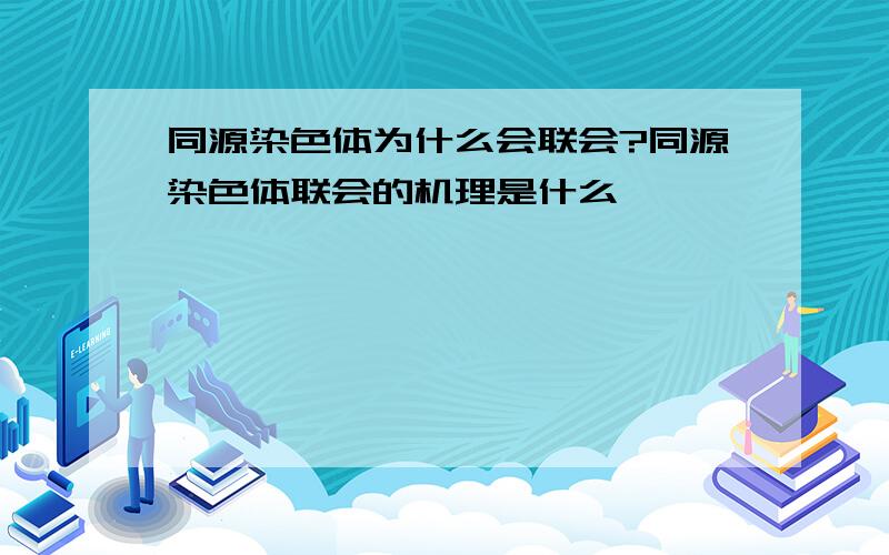 同源染色体为什么会联会?同源染色体联会的机理是什么