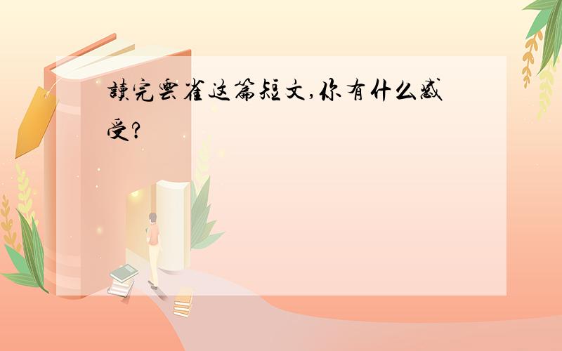 读完云雀这篇短文,你有什么感受?