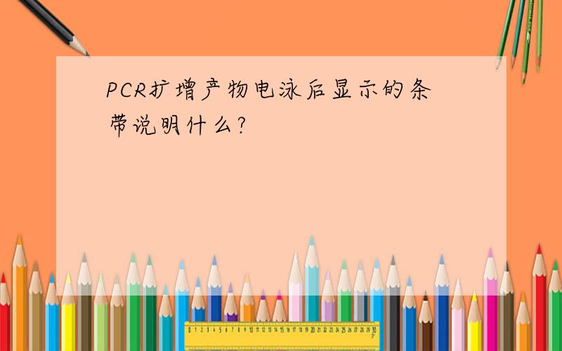 PCR扩增产物电泳后显示的条带说明什么?