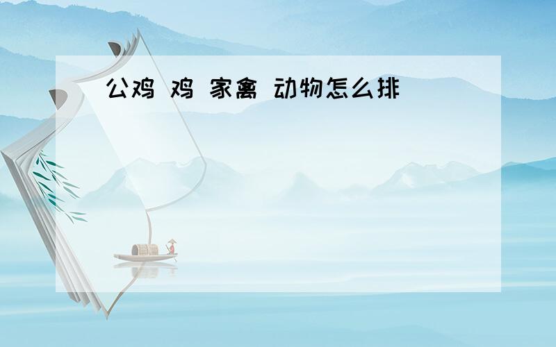 公鸡 鸡 家禽 动物怎么排