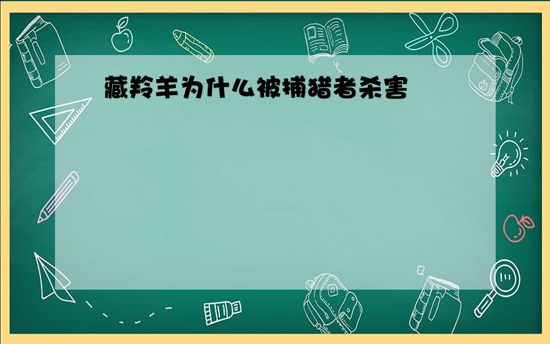 藏羚羊为什么被捕猎者杀害