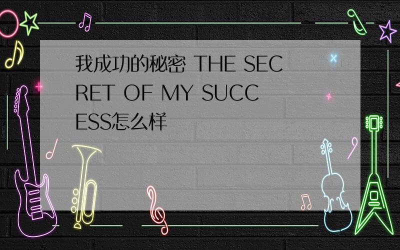 我成功的秘密 THE SECRET OF MY SUCCESS怎么样