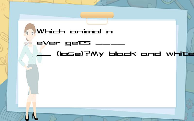 Which animal never gets ______ (lose)?My black and white cat ______(kill) a mouse a day.