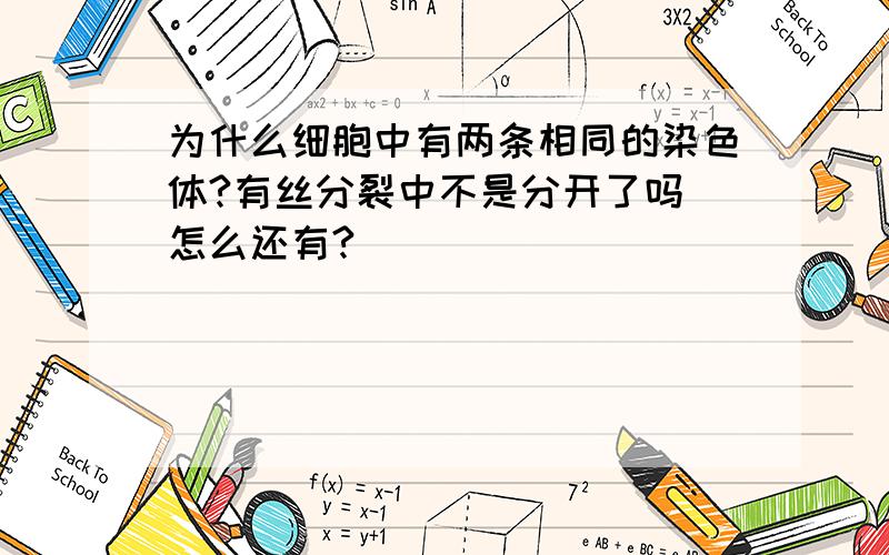 为什么细胞中有两条相同的染色体?有丝分裂中不是分开了吗 怎么还有?