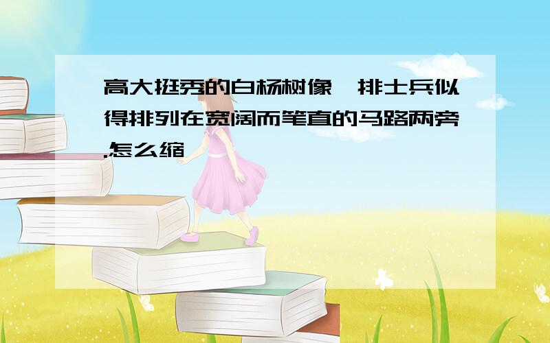 高大挺秀的白杨树像一排士兵似得排列在宽阔而笔直的马路两旁.怎么缩