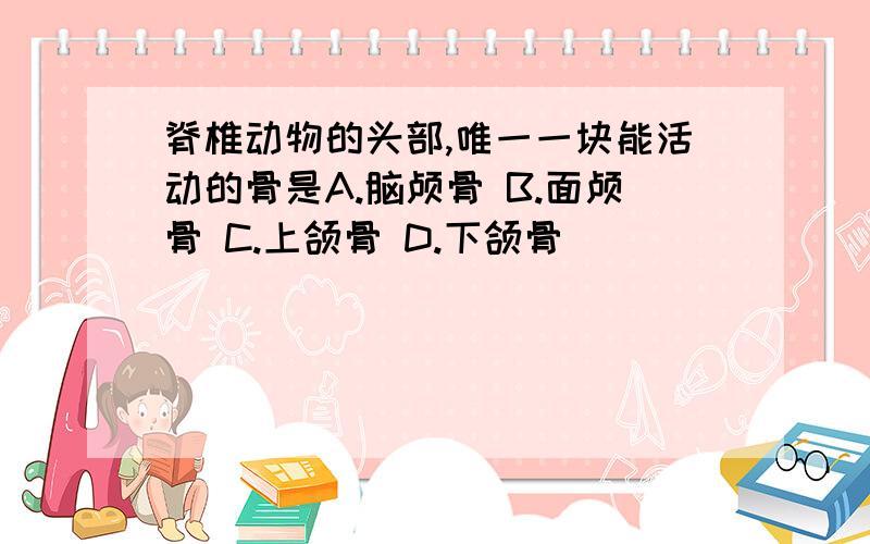 脊椎动物的头部,唯一一块能活动的骨是A.脑颅骨 B.面颅骨 C.上颌骨 D.下颌骨