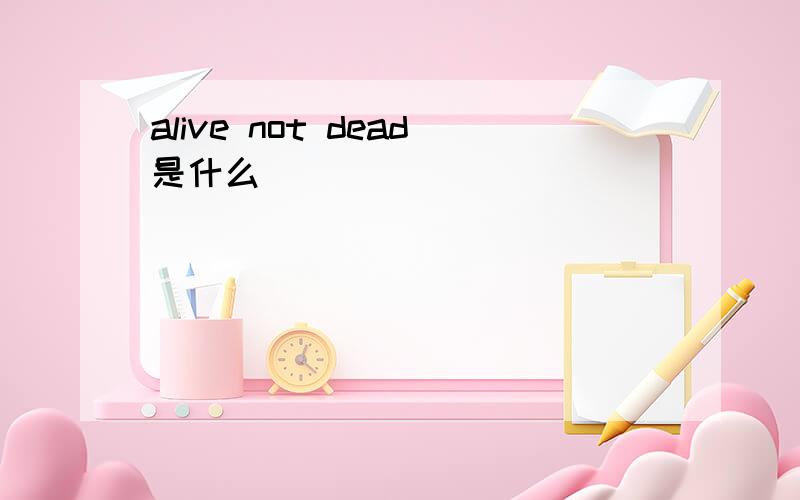 alive not dead是什么