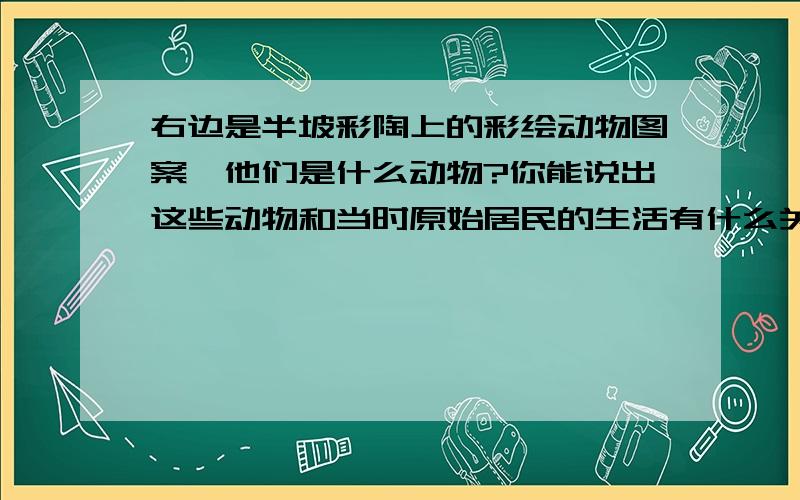 右边是半坡彩陶上的彩绘动物图案,他们是什么动物?你能说出这些动物和当时原始居民的生活有什么关系么?